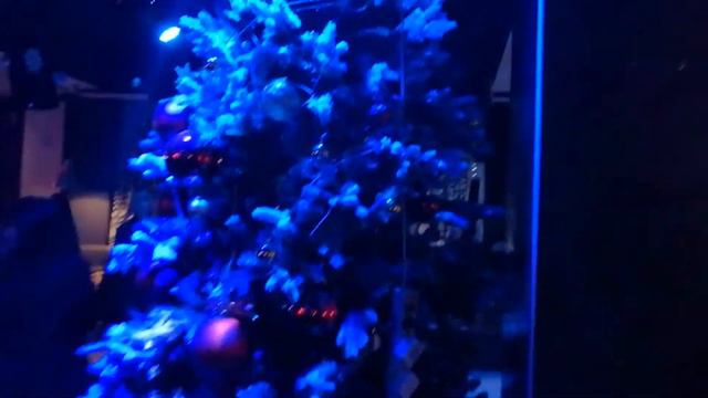 КВИЗ: КАК ПРОВЕСТИ ВЕЧЕР И ПОЗНАКОМИТЬСЯ С ИНТЕРЕСНЫМИ ЛЮДЬМИ