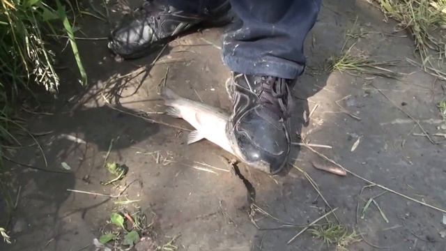 Рыбалка на Ине 2014 2 смотреть онлайн