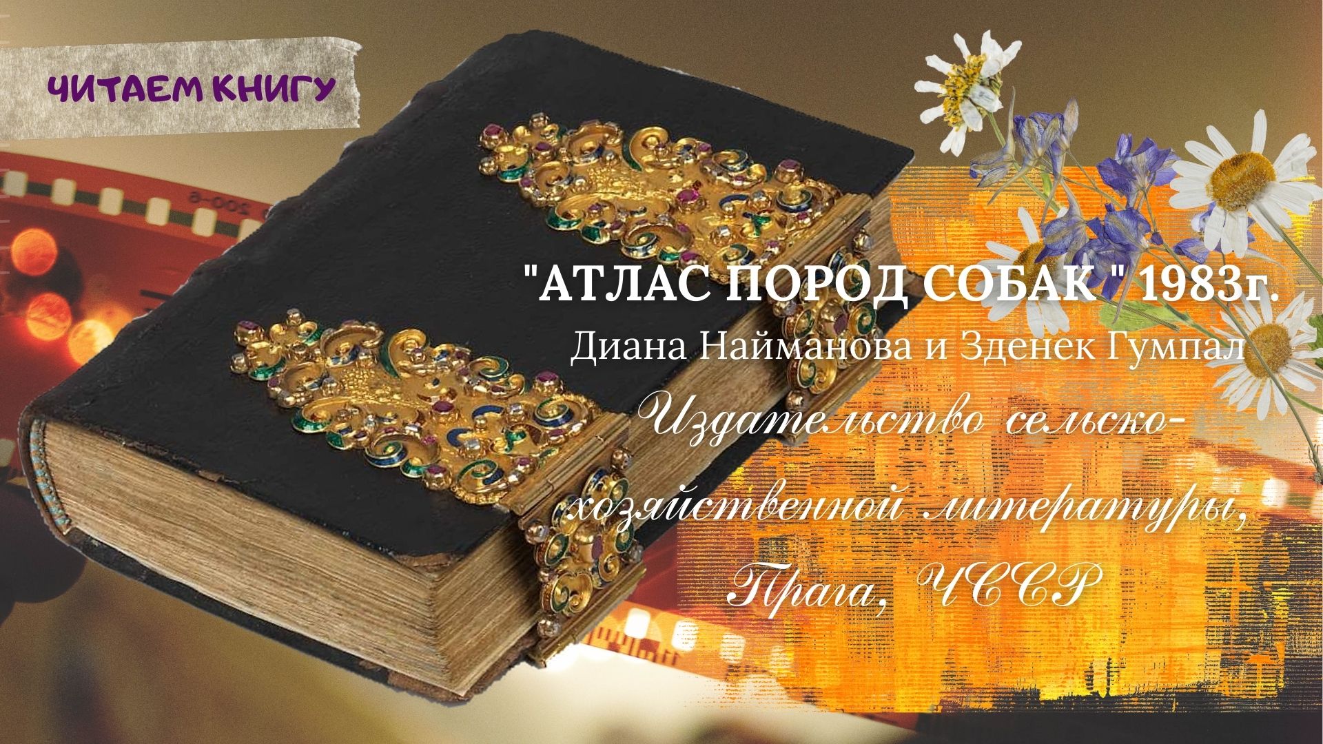 Книга "Атлас пород собак",1983г.,Прага,ЧССР