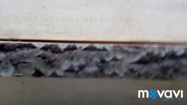 Борть- колода для пчел своими руками смотреть онлайн