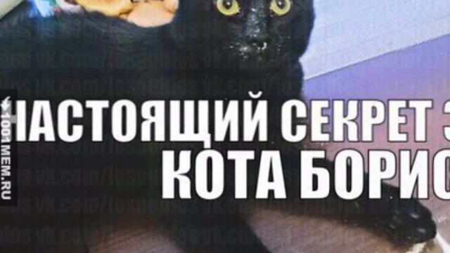 Мой любимый 7А класс смотреть онлайн