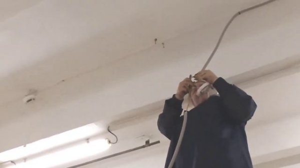 Моя работа. Обзор Saveliy Ad ( своим голосом)