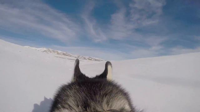 Бьешин дебют в кино смотреть онлайн