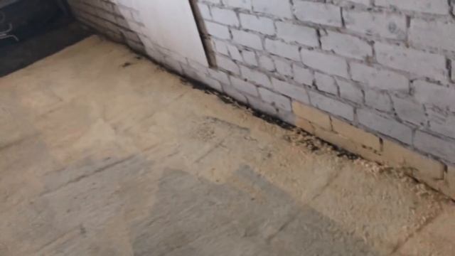 Гараж мечты #4. Покраска пола. Всё плохо. Вопрос про солнечную батарею. смотреть онлайн