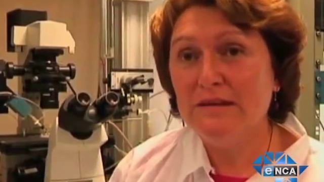 eNCA | Mamba Venom Could Treat Pain смотреть онлайн