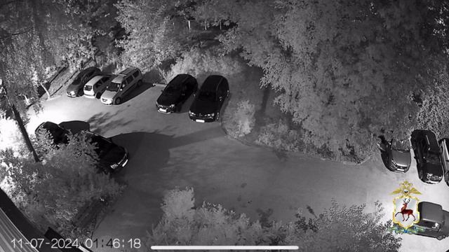 В Нижнем Новгороде полицейские раскрыли два угона отечественных легковушек. смотреть онлайн