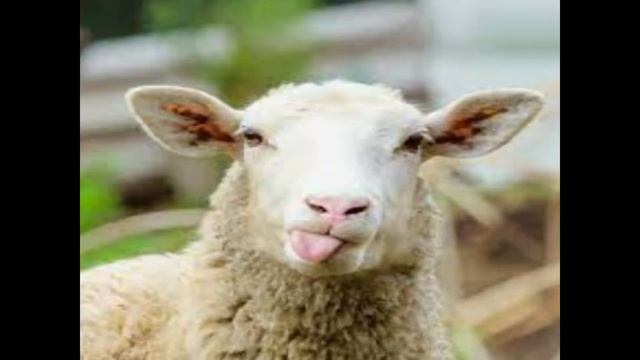 Буква Б по понятиям смотреть онлайн