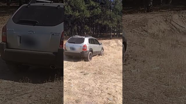 Туксон застрял. смотреть онлайн