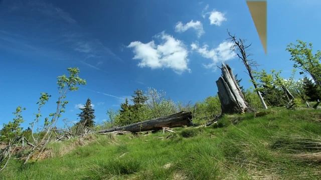 светящиеся наушники купить в Бирюсинске смотреть онлайн