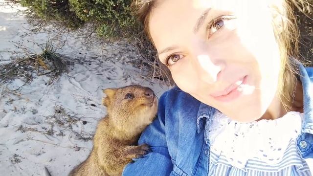 Австралия Остров Ротнесс и Квокка! смотреть онлайн