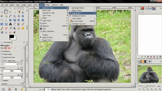 Tools (Introduction) - GIMP 2.8 Beginners' Guide ep22 смотреть онлайн