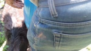 Как установить водяной насос (помпу) системы охлаждения двигателя МТЗ.