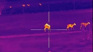 Тепловизионный прицел NNPO TR-22 325LRF