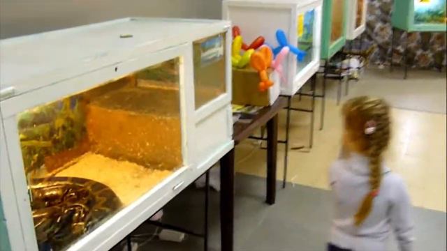 "Супер" Зоопарк смотреть онлайн