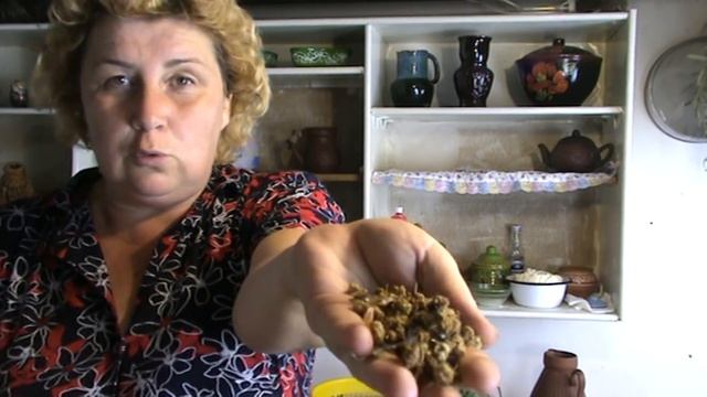 БЛОГЕРСКАЯ КУХНЯ ИЗНУТРИ# КАК ТОПИТЬ и ГОТОВИТЬ в РУССКОЙ ПЕЧИ # КАША+БУТЕРБРОДЫ с БАКЛАЖАНАМИ смотреть онлайн