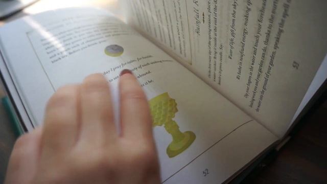 How To Read A Spellbook + what's inside? Witchy Book Review! смотреть онлайн