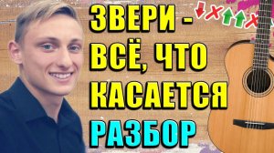 ЗВЕРИ - ВСЕ ЧТО КАСАЕТСЯ РАЗБОР
