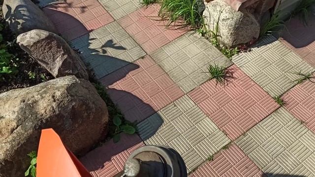 Бензиновый триммер stihl FS 55 отзывы. смотреть онлайн