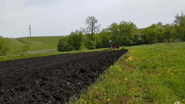 Культивация 2022 смотреть онлайн