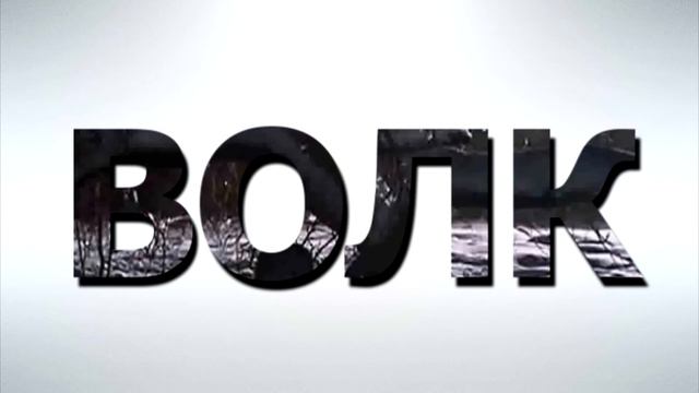 Двойная экспозиция смотреть онлайн