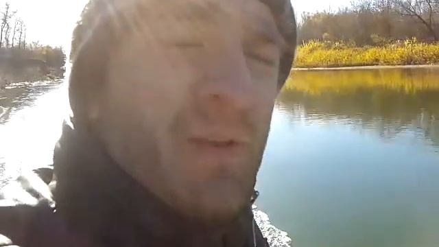 голодный на медведице смотреть онлайн