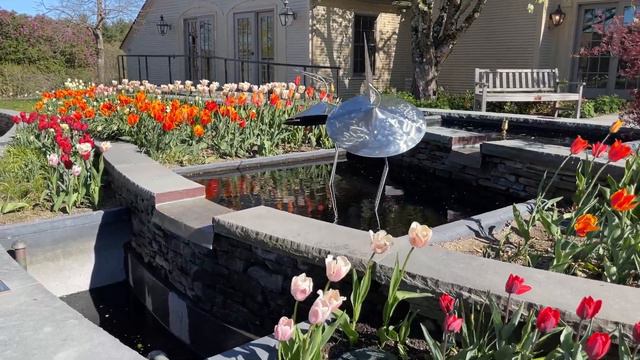 Майское цветение - Tower Hill - 8 - "цапли" - The Court, Tulips, sculpture -- May 10, '22 -- NEBG смотреть онлайн