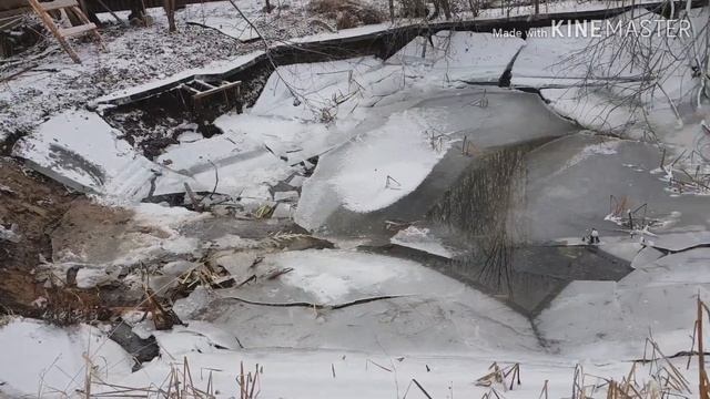 ОТКАЧАЛИ ВОДУ в Пруде и пытаемся ЗАСЫПАТЬ? смотреть онлайн