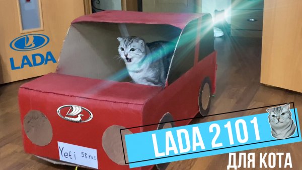 LADA 2101 для кота