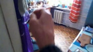 Как вырастить лук на балконе
