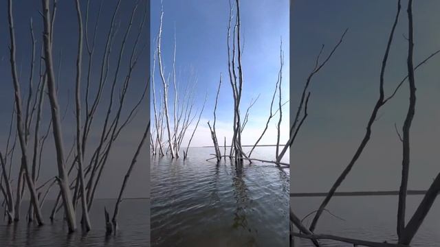 Открываем SUP сезон 2023 в Хрящевке, Сусканский залив смотреть онлайн