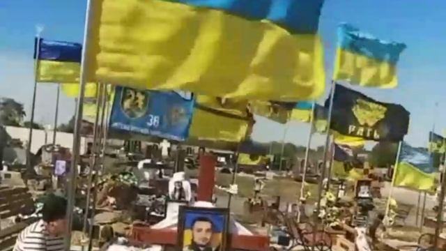 Такая картина сейчас по всей Украине. смотреть онлайн