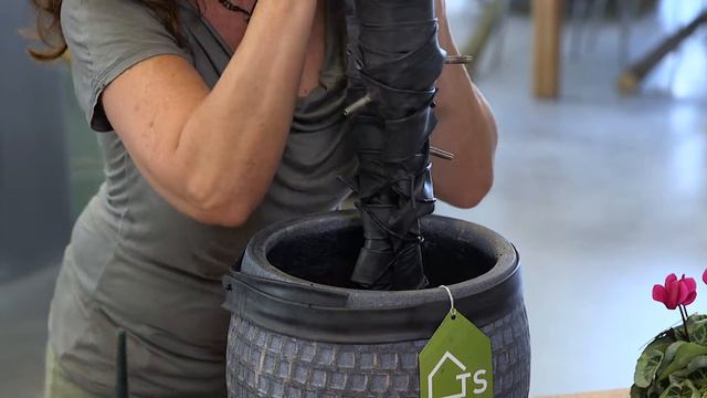 Inspiration With Veranda Selections