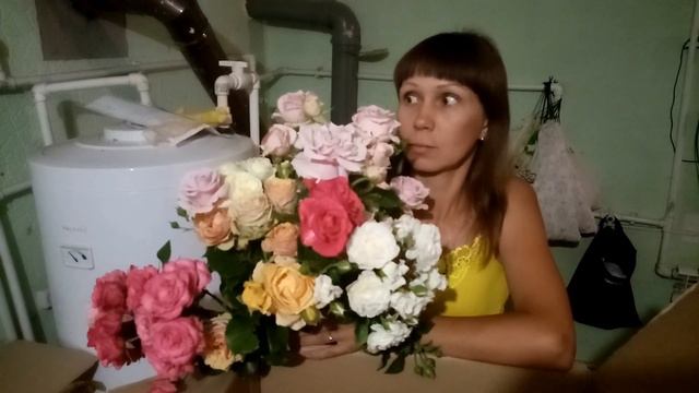 Гидролат лепестков роз(розовая вода). смотреть онлайн