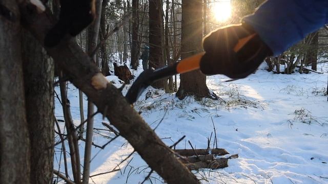 С сыном в зимний лес, ищем дрова, пилотный выпуск смотреть онлайн
