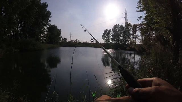 Вечерняя рыбалка на пылящее тесто смотреть онлайн