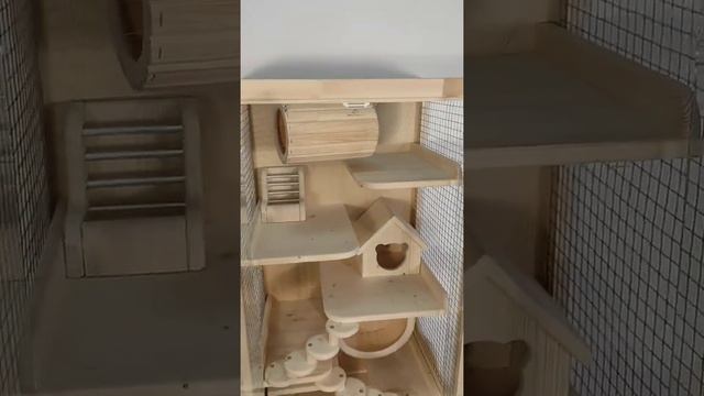 витрина для шиншилл, дегу, белки смотреть онлайн