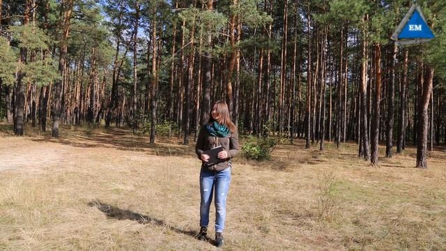 как признаться парню в любви первой смотреть онлайн