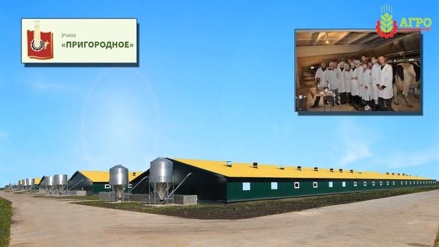 Преимущества экструдирования кормов для КРС. Как улучшить качество корма. смотреть онлайн