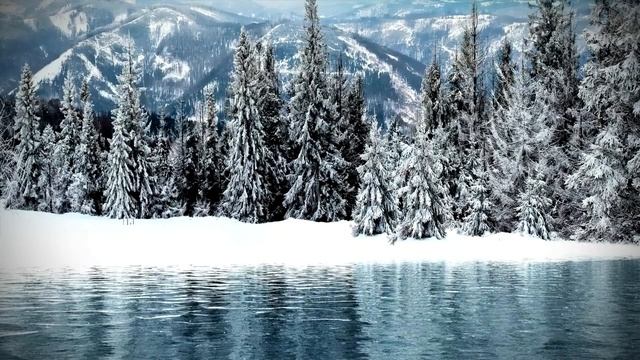 Удивительная красота . Красота зимней природы. Зимний лес смотреть онлайн