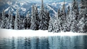 Удивительная красота . Красота зимней природы. Зимний лес