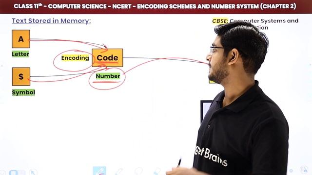 Encoding Schemes and Number System - Introduction | Class 11 Computer Science Chapter 2 смотреть онлайн