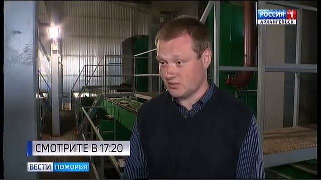 В Холмогорах хозяева новой котельной прогнозируют банкротство смотреть онлайн