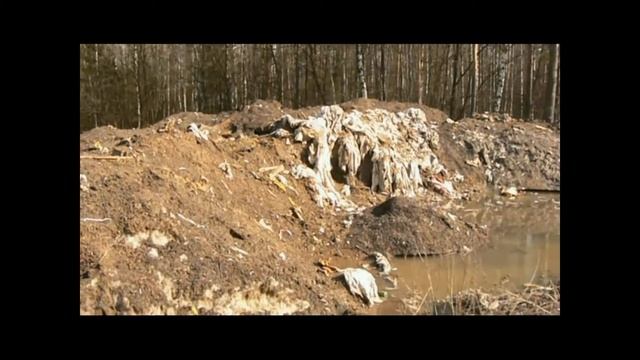 Экология Балашихи 2016 смотреть онлайн