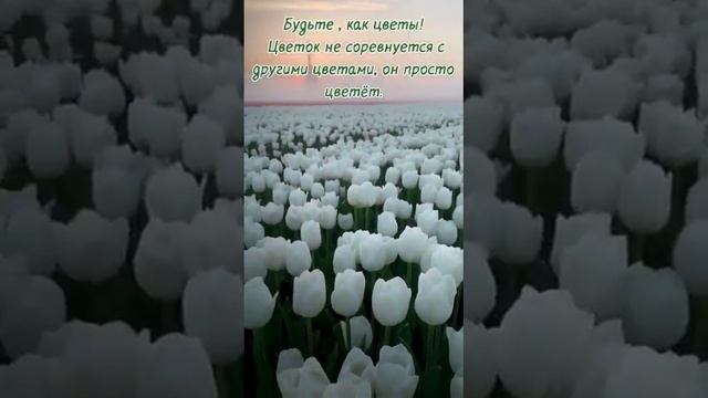 Депрессия отменяется! Мотивационное видео. смотреть онлайн