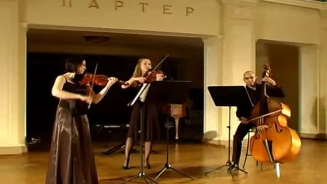 J.B.Vanhal Divertimento in G смотреть онлайн