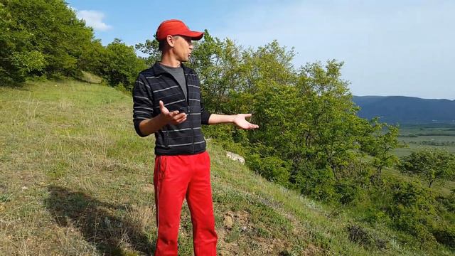 Место где я живу смотреть онлайн