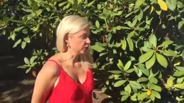 Russian Language Art with Elena Chikova смотреть онлайн