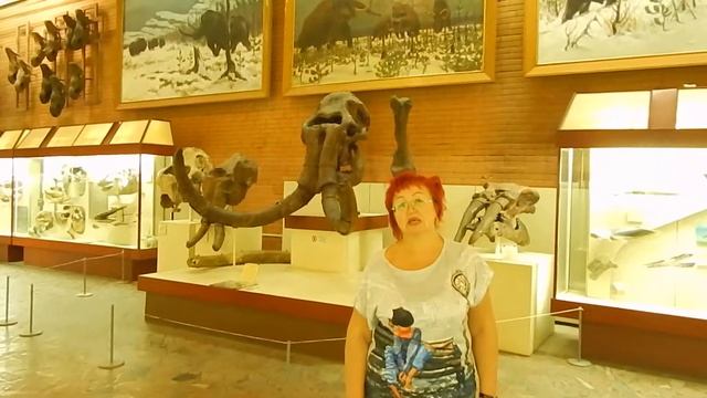 Переработка сна для осознания целей в жизни смотреть онлайн