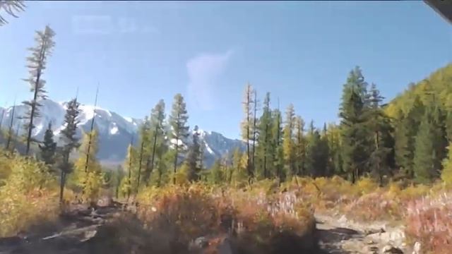 К Актру смотреть онлайн