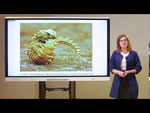 3 класс. Окружающий мир. Размножение и развитие животных